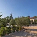 Toni שיבניק