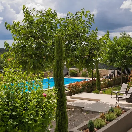 Toni فيلة شيبينيك