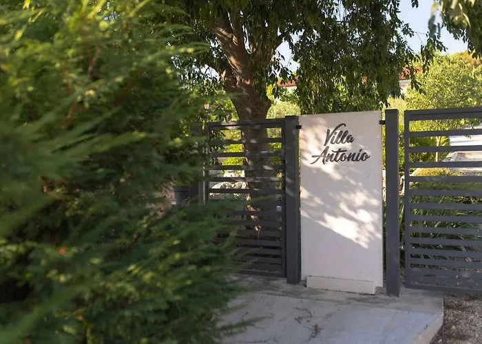 فيلة Toni شيبينيك